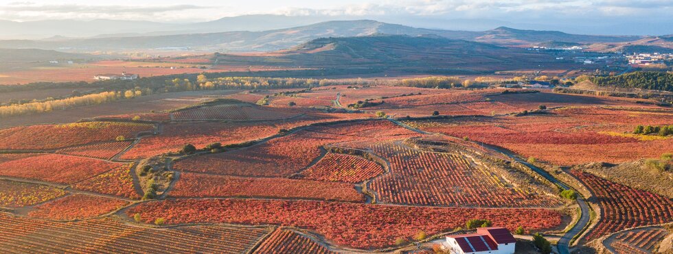 Luftbild der Weinberge von la Rioja