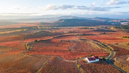 La Rioja - Radeln durch Weinberge