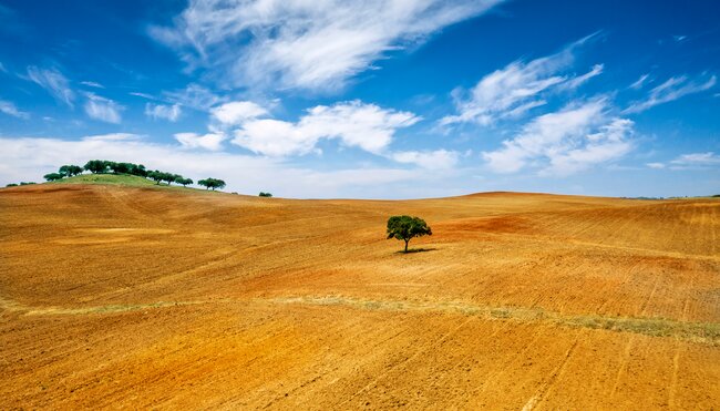 Radtour durch Alentejo-Weinberge und Alqueva-See