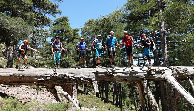 Wandergruppe auf dem GR20