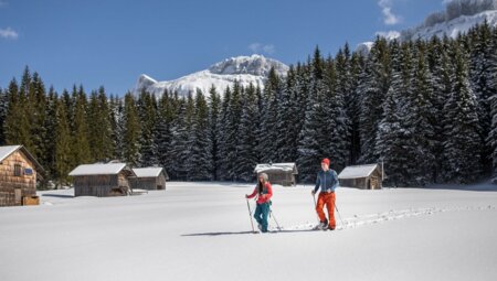 Schneeschuh Glück - Streifzug durch das winterliche Salzkammergut