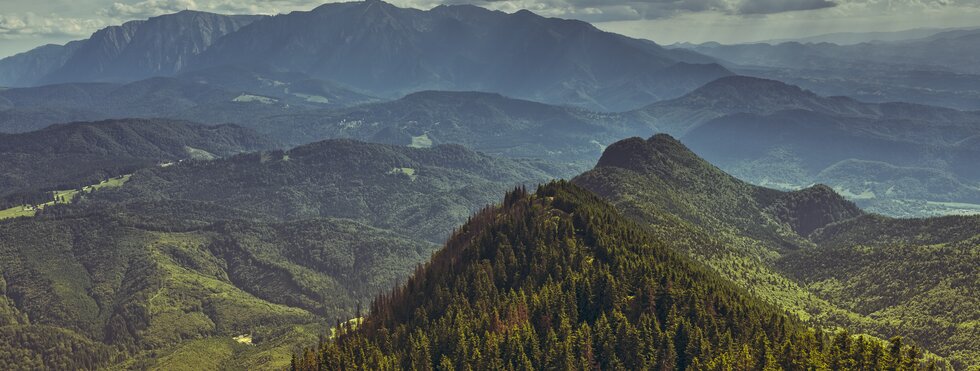 Panorama-Blick auf das Bucegi-Gebirge