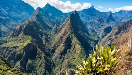 La Réunion - l'île Intense