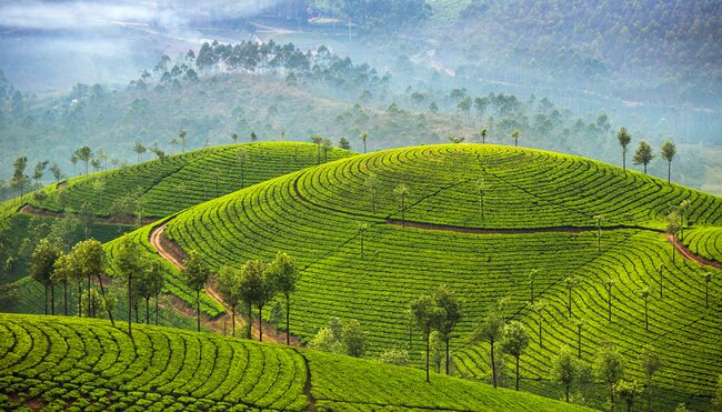 Sri Lanka komfortabel erwandern