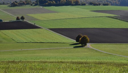 Albschäferweg