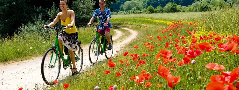 Zwei Radfahrer am Mainradweg