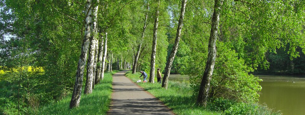 Radweg entlang der Thüringer Städtekette