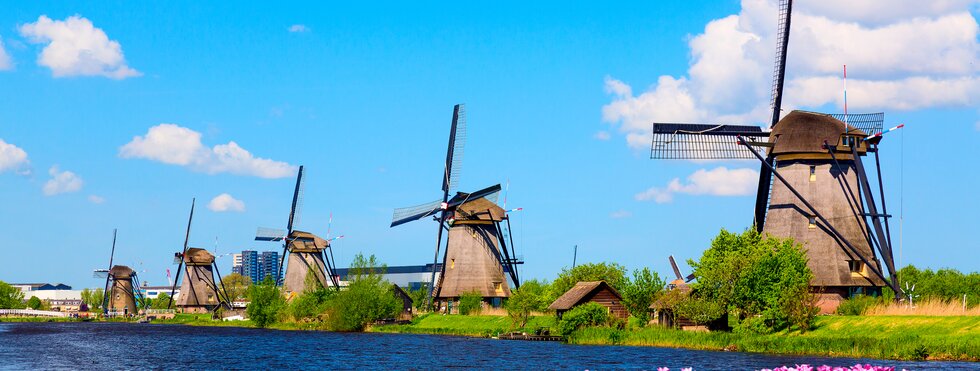 Tulpen vor den Windmühlen von Kinderdijk