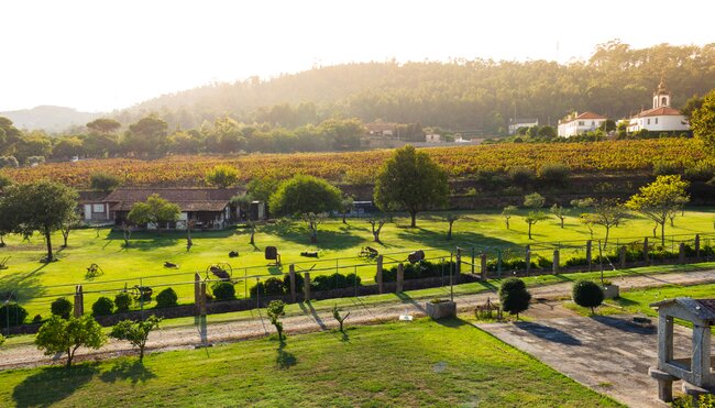 Vinho Verde Wine and Food Bike Tour 