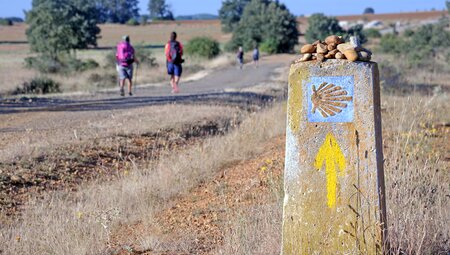 Wandern auf dem Jakobsweg – Camino Frances von Sarria nach Santiago