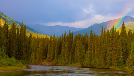 Der Klondiker - Kanutour auf dem Big Salmon River