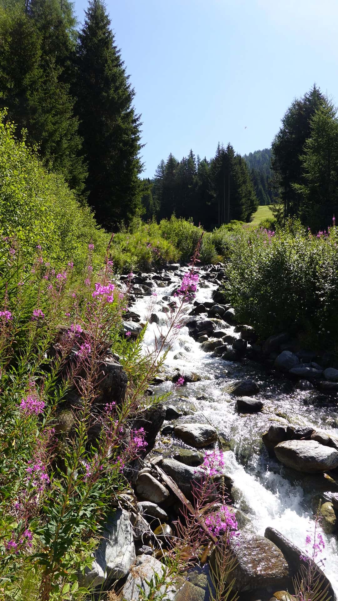 Reiseimpression von Stephan