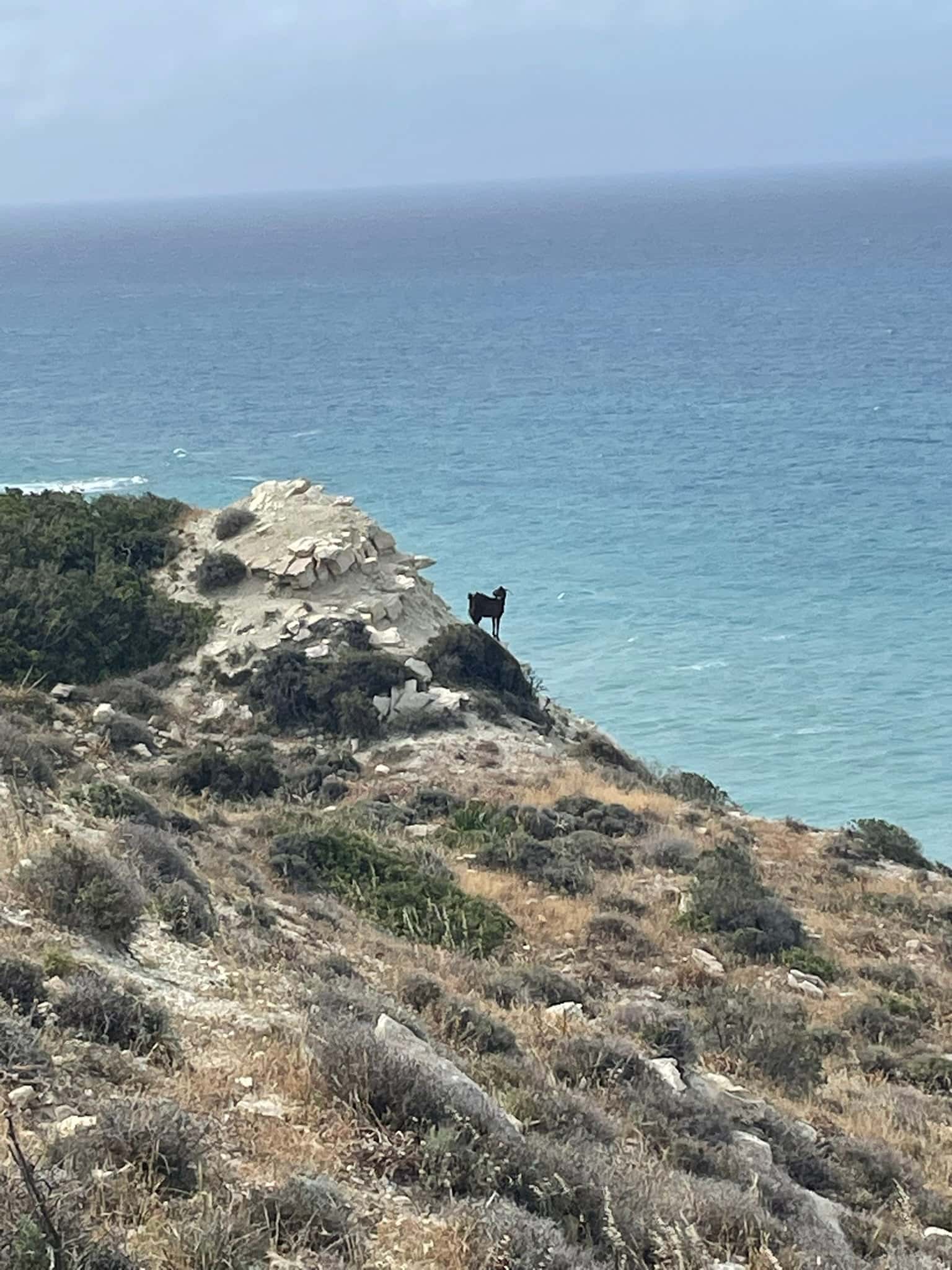 Reiseimpression von Andrea