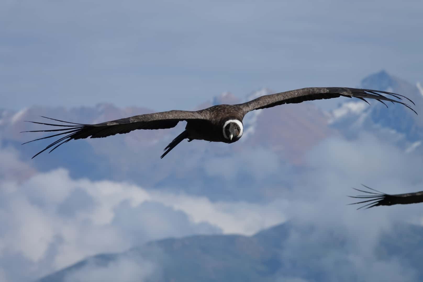 Reiseimpression von Jürgen