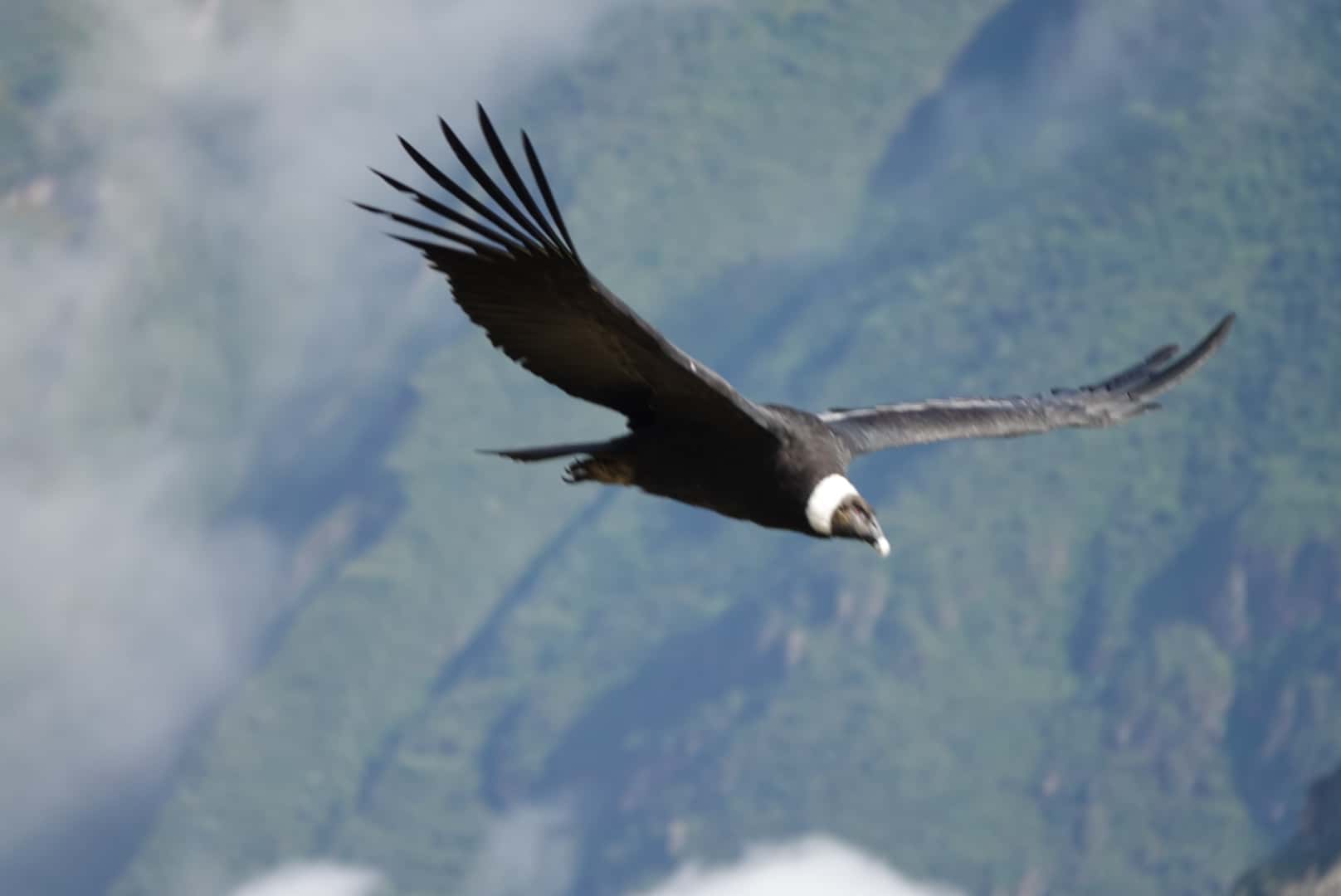 Reiseimpression von Jürgen