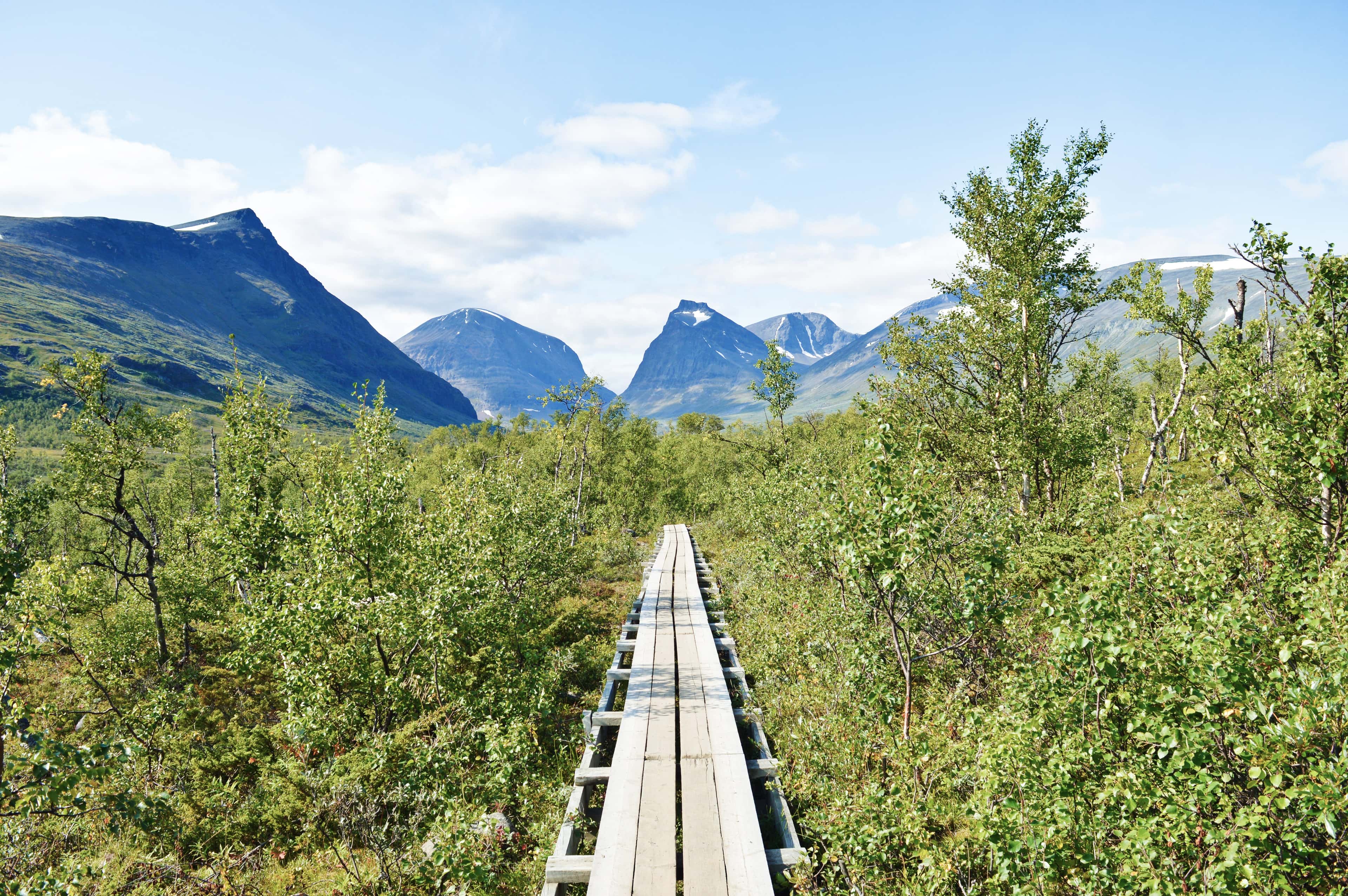Holzwanderweg nach Kebnekaise auf dem Kungsleden | © shutterstock.com