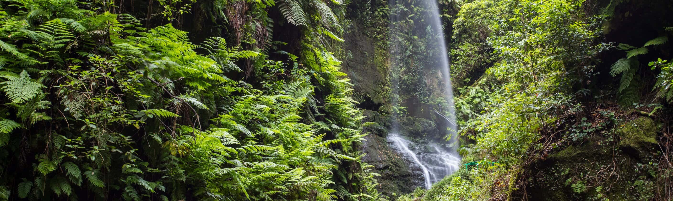 La Palma - Vulkanwandern auf der "Isla Bonita"