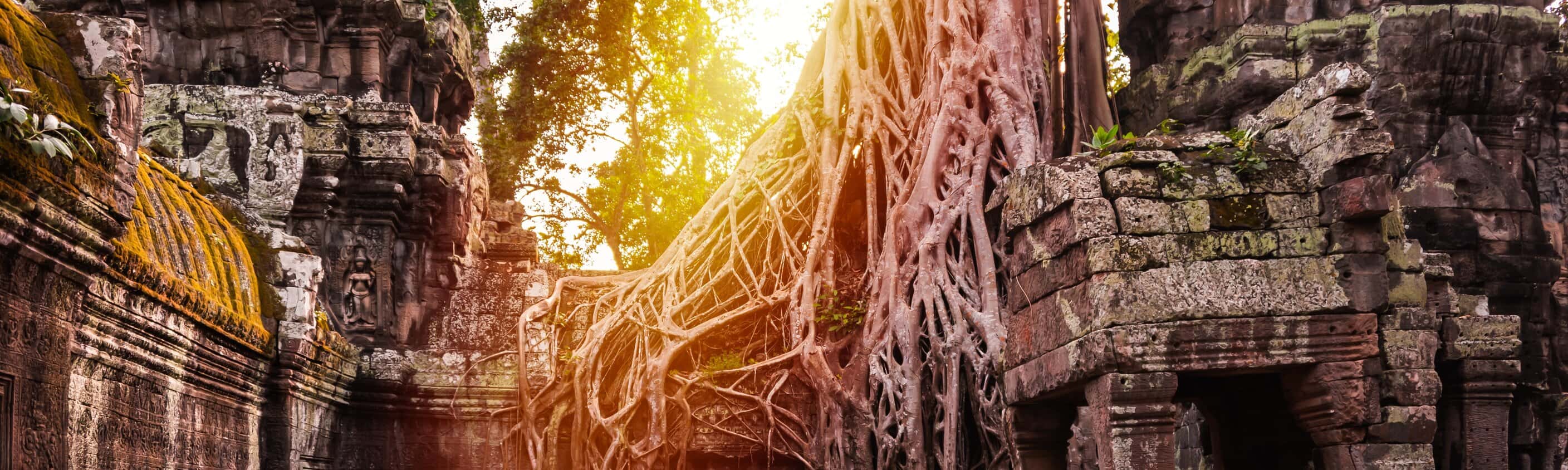 Kambodscha: Begegnungen zwischen Tempeln, Urwald und Küste