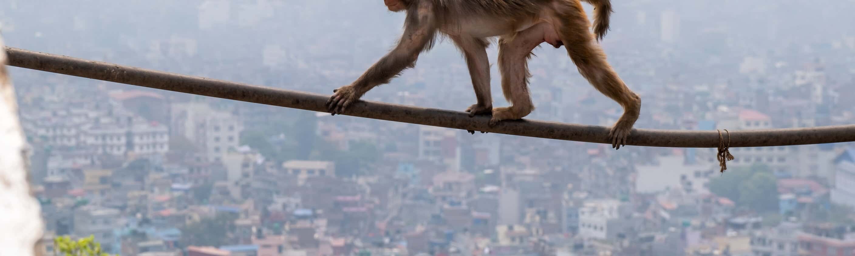 Nepal kompakt