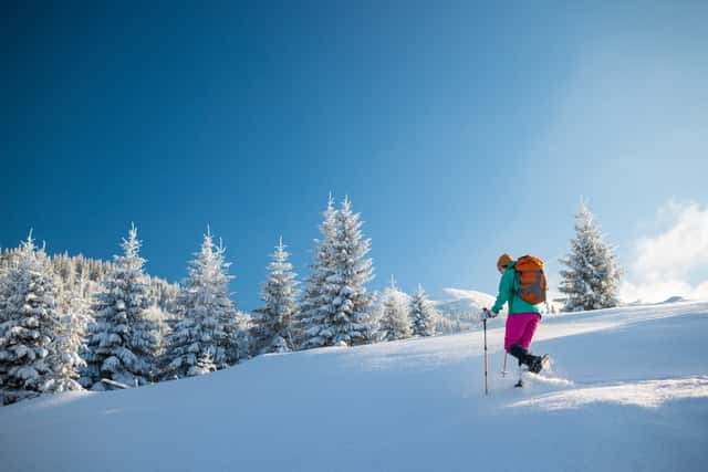Winter- & Schneeschuhwandern am Mieminger Plateau