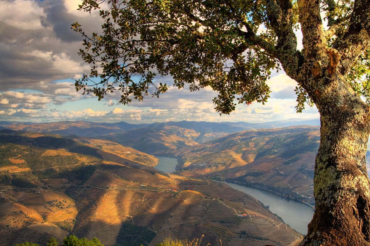 Douro - Weingut-Wanderung in Portugals Norden