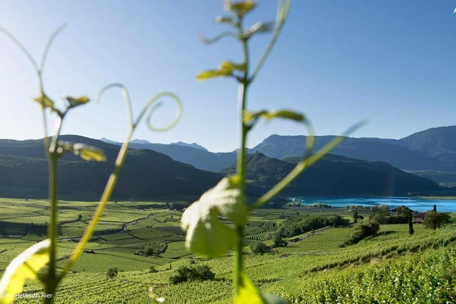 Augsburg - Riva del Garda klassisch strauch