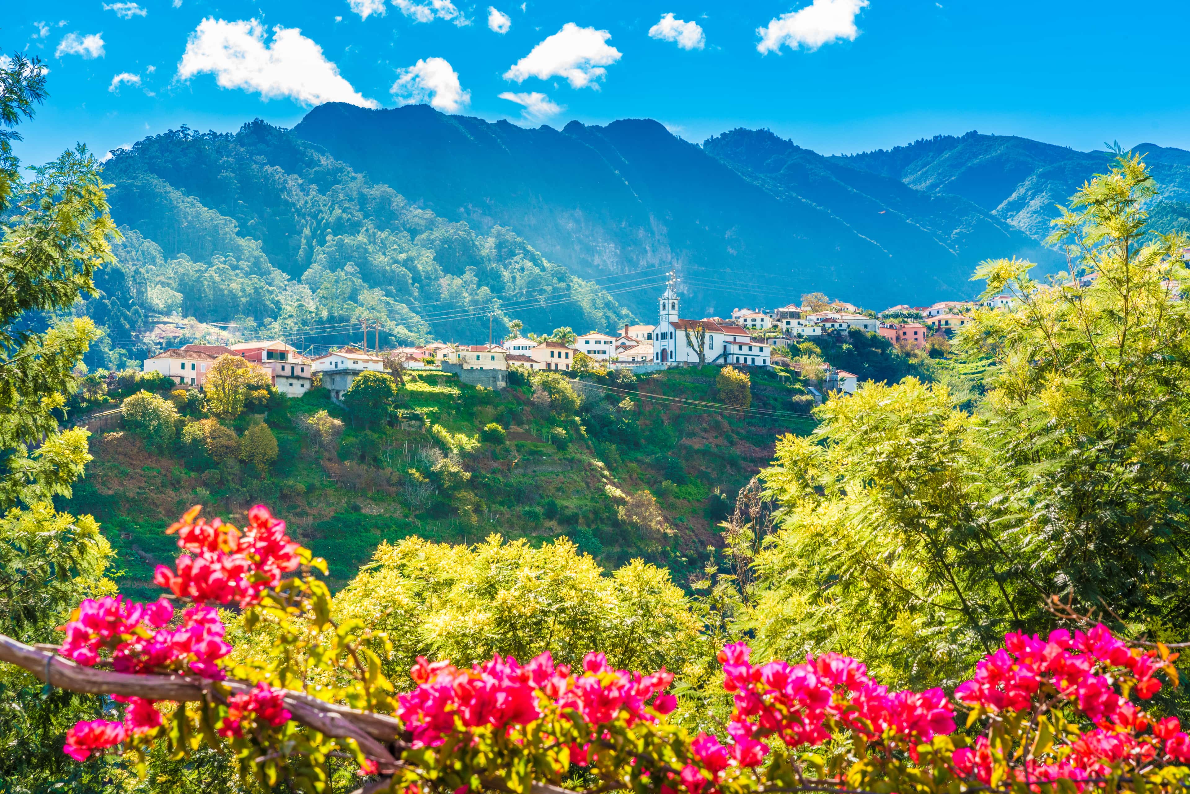 Rund um Madeira