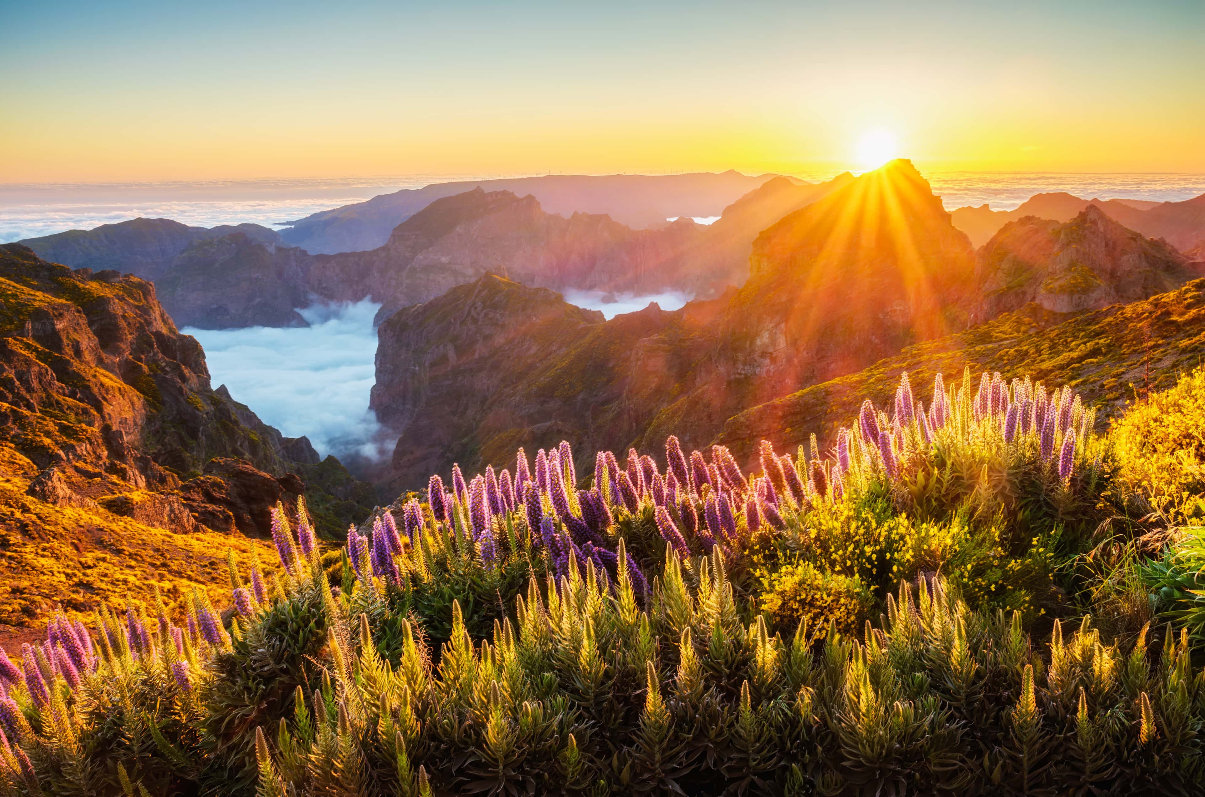 Madeira - Wanderträume auf der Blumeninsel