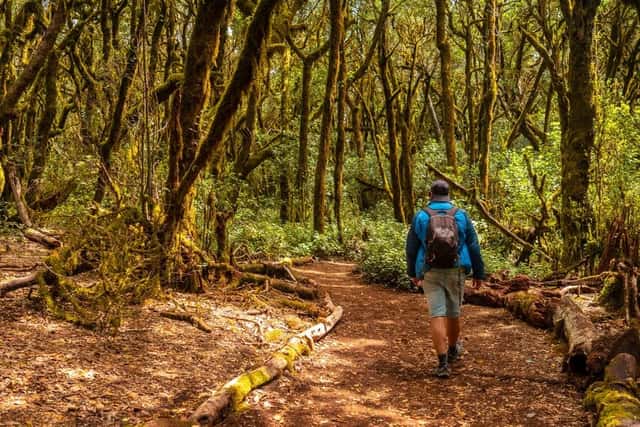 La Gomera - Trekking durch den Inselnorden
