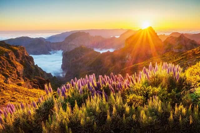 Madeira - Wanderträume auf der Blumeninsel