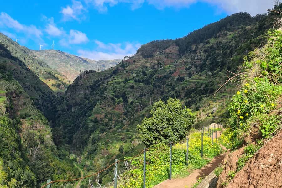 Die Blumeninsel umrunden: Radreise mit E-Bike