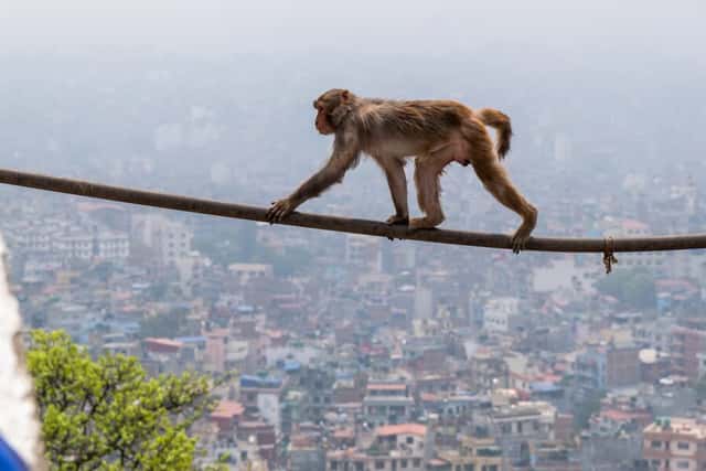 Nepal kompakt
