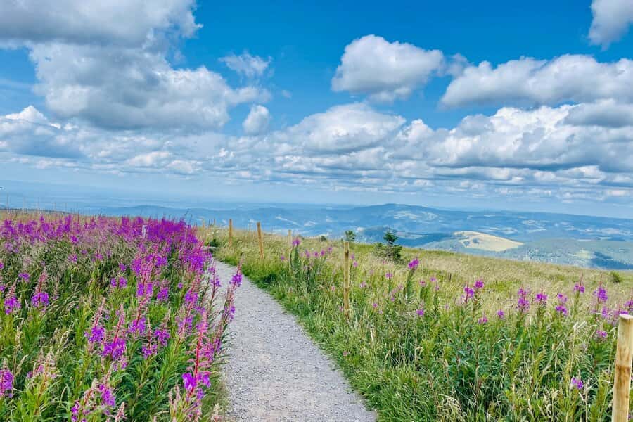 Die schönsten Wanderungen im Schwarzwald - Gipfel. Seen und Schluchten