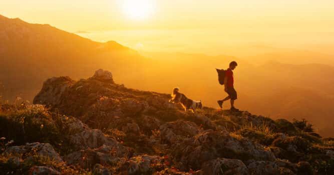 Wanderurlaub mit Hund: Top 3 Wege und Tipps - ASI Reisen