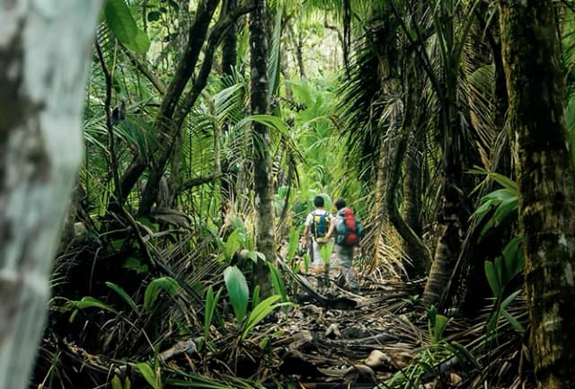 Die 6 schönsten Nationalparks in Costa Rica
