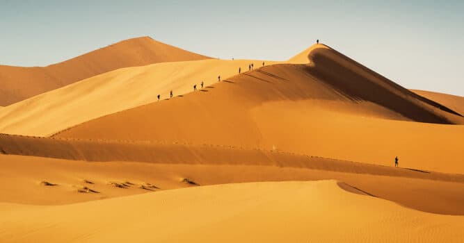 Die Namib Wüste: Die schönsten Orte & Wanderungen 🥾