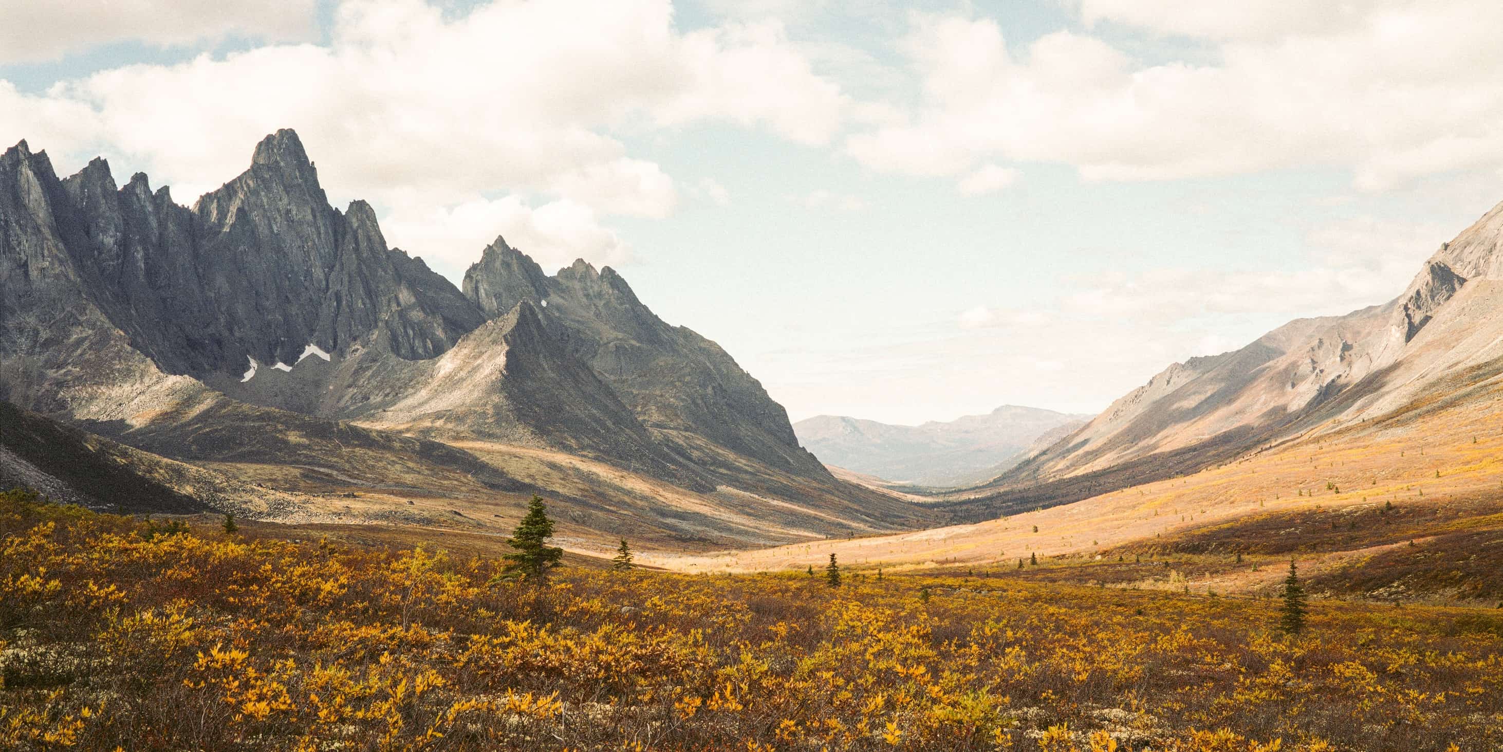 Draußen fängt die Freiheit an