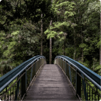 Reisebilder