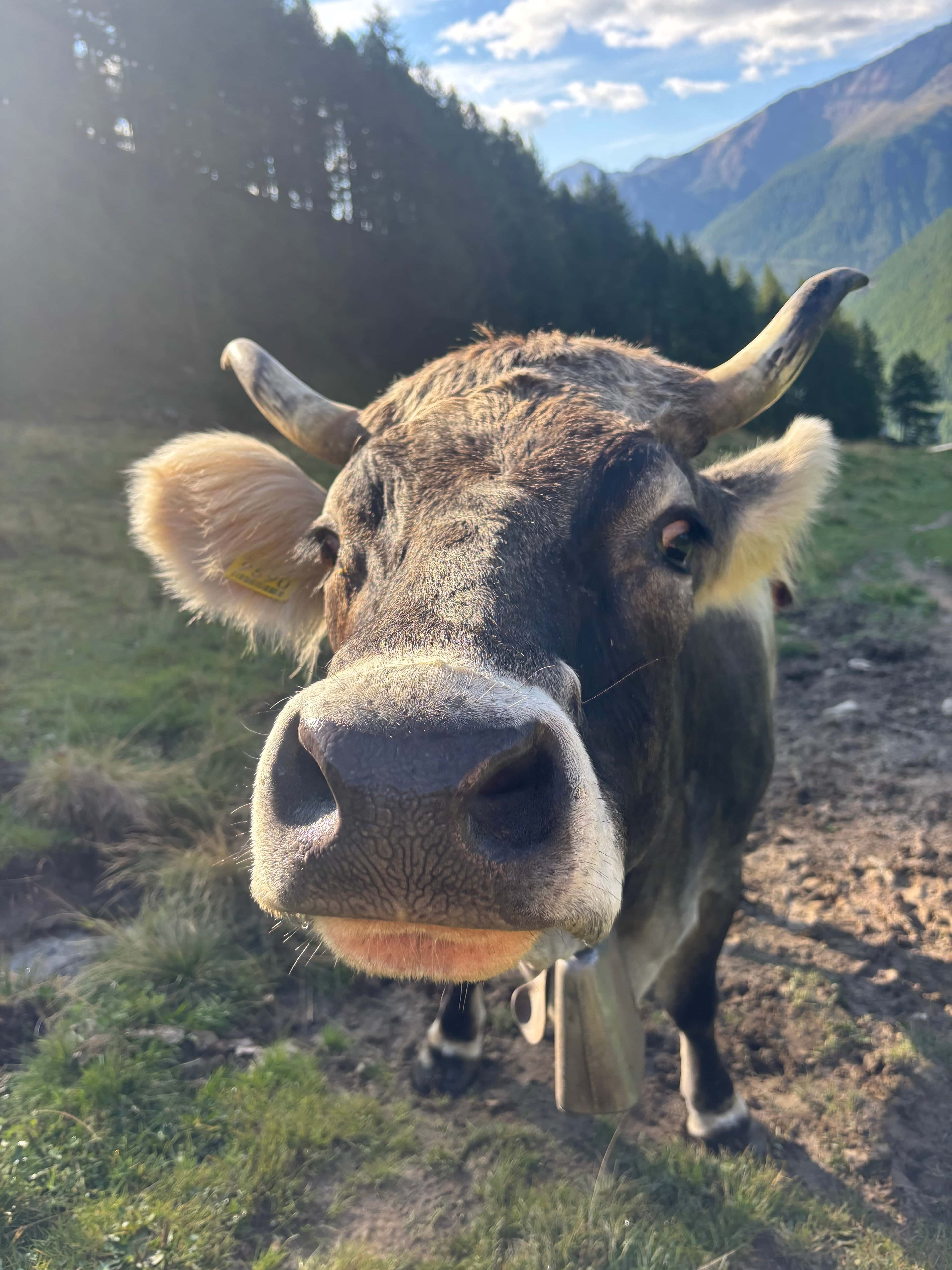 © Catrin Reiseimpression von Catrin