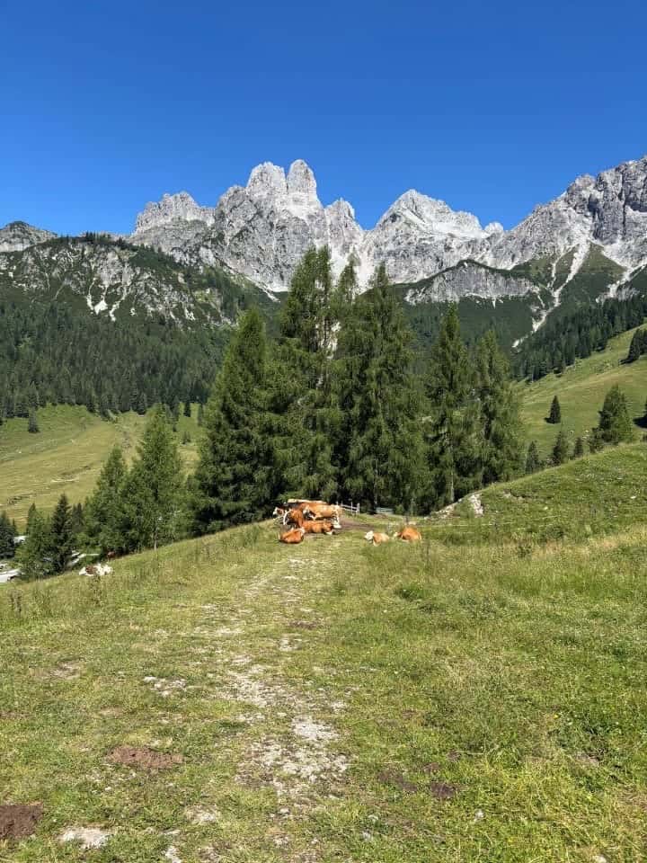 © Annegret Travel impression by Annegret