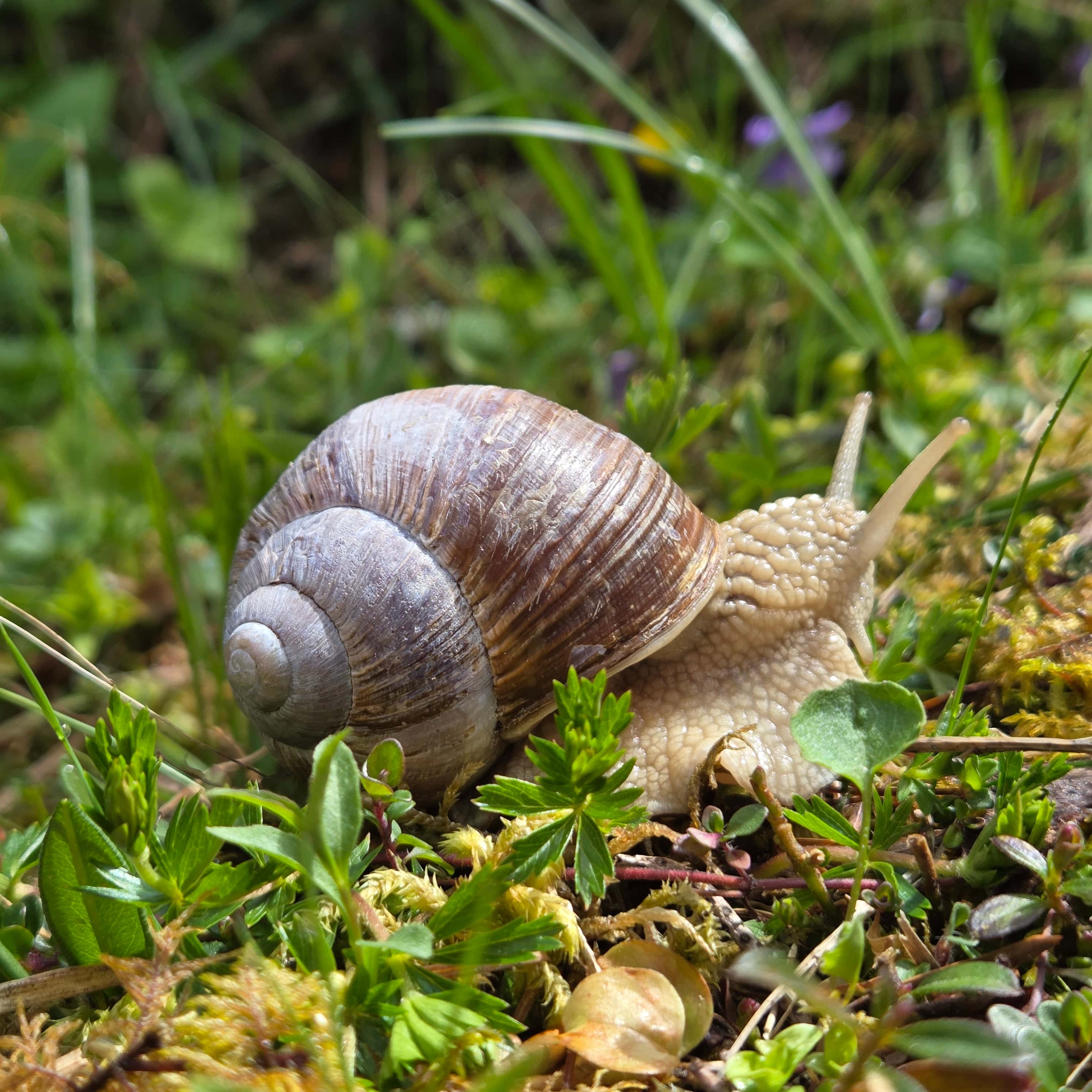 © Eduard Reiseimpression von Eduard