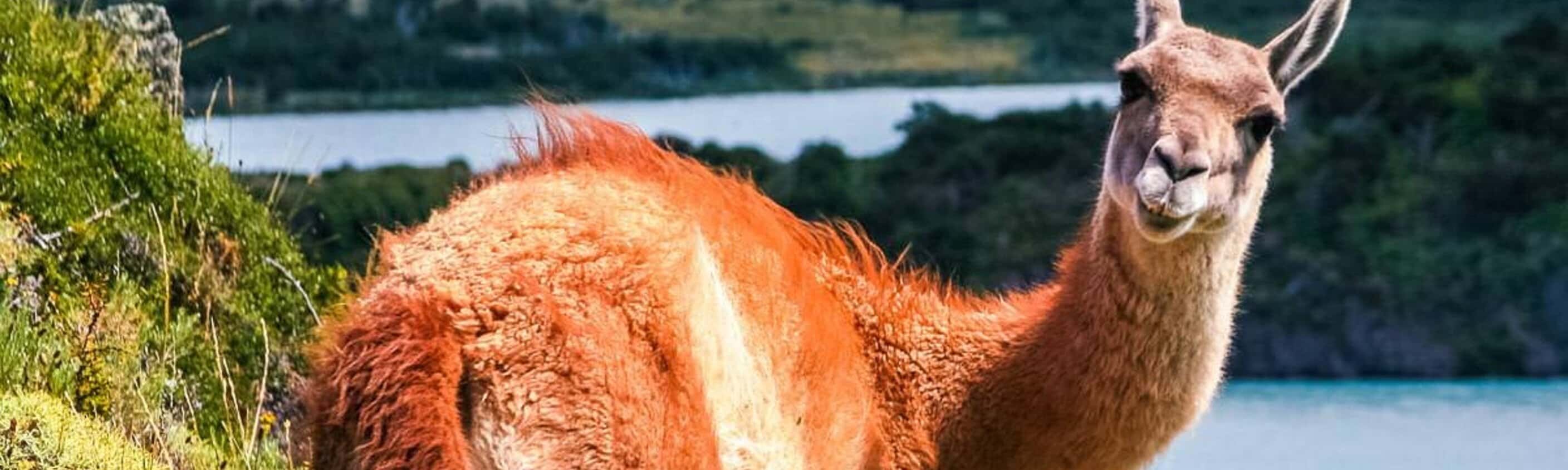 Patagonia - 15 Tage Erlebnisreise