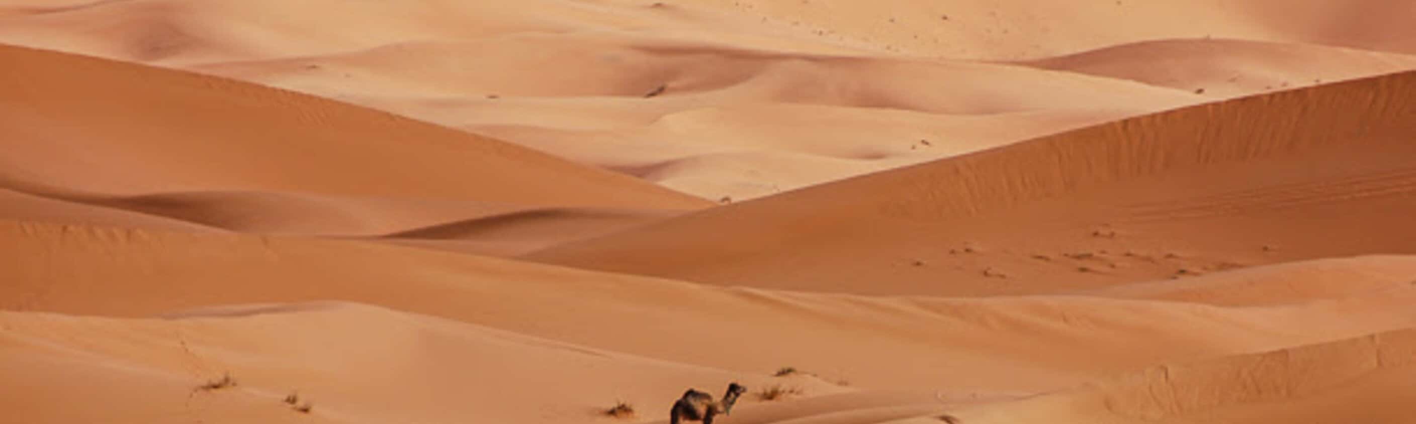 Sahara - 11 Tage Erlebnisreise