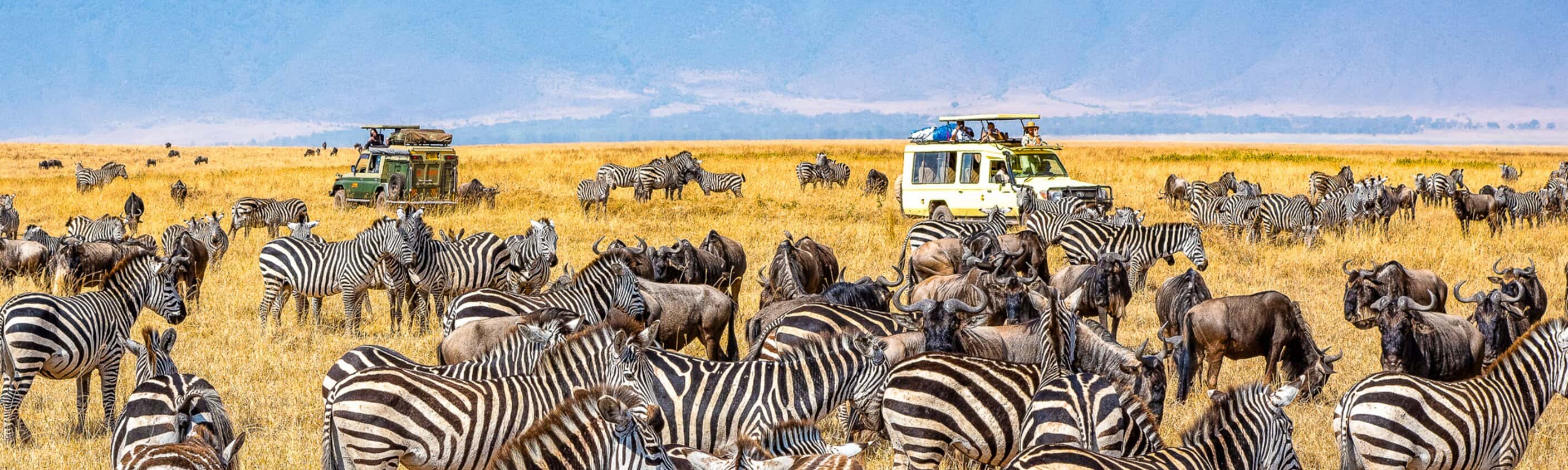 Ngorongoro - 14 Tage Erlebnisreise