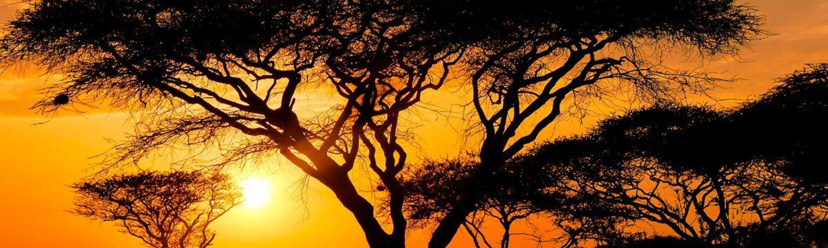 Ruaha - 15 Tage Erlebnisreise