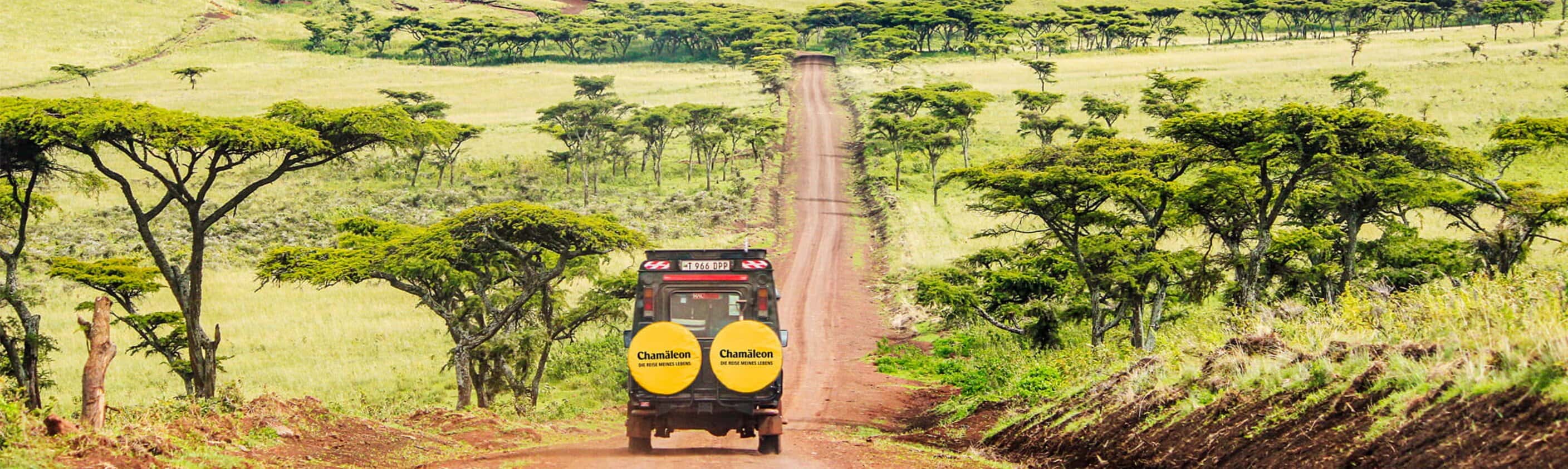 Unsterbliche Serengeti - 15 Tage Erlebnisreise