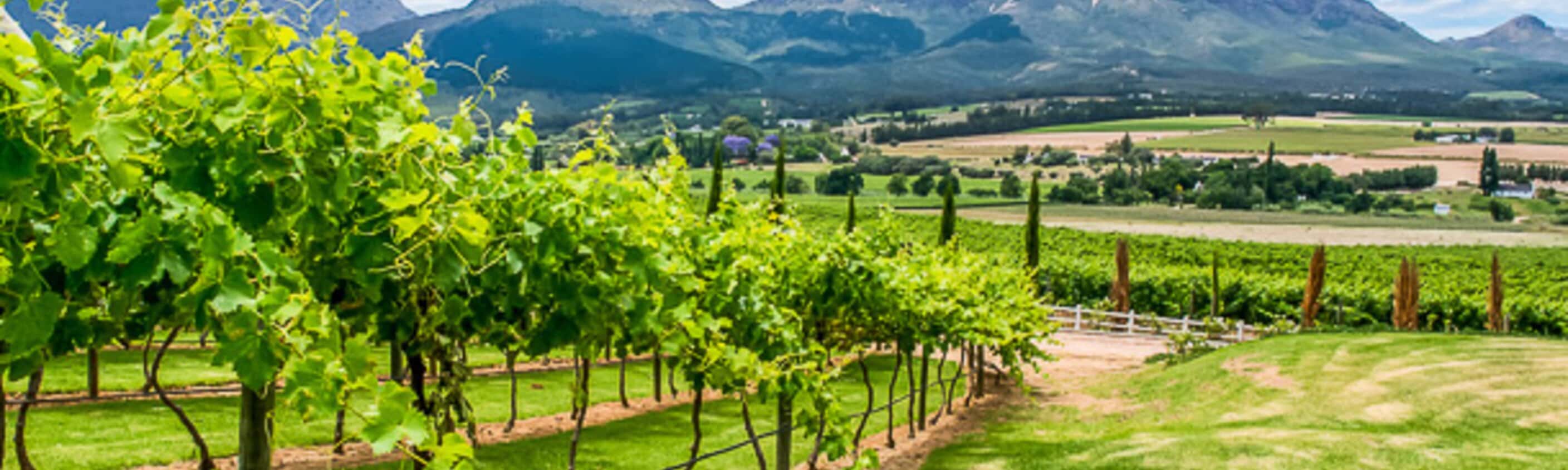 Pinotage - 17 Tage Erlebnisreise
