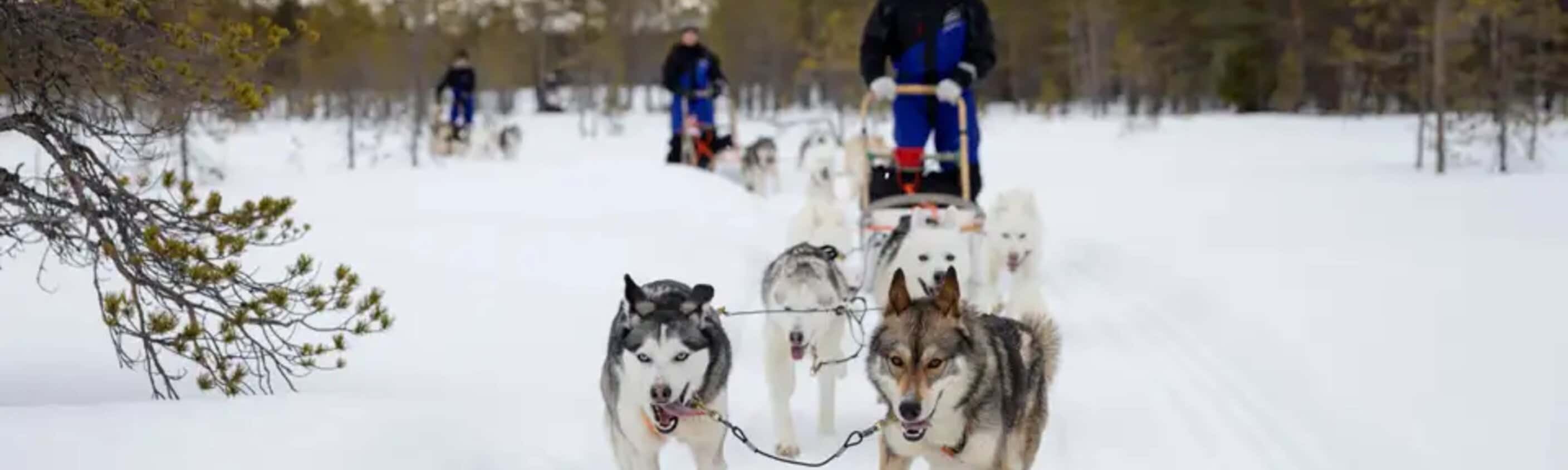 Finnland – Aktive Winterreise am Polarkreis