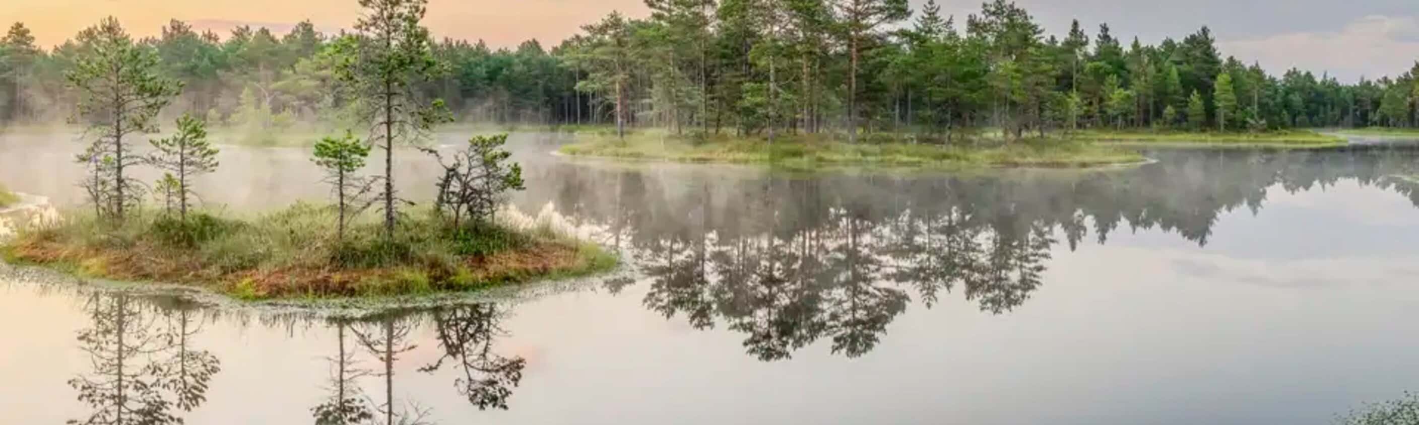 Baltikum – Naturlandschaften & Hauptstädte