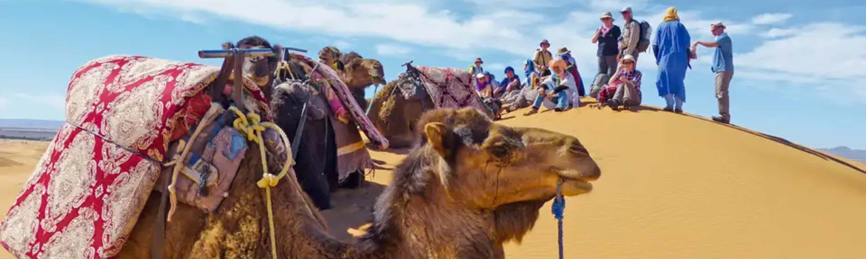 Marokko – Wüstentrekking in der Sahara